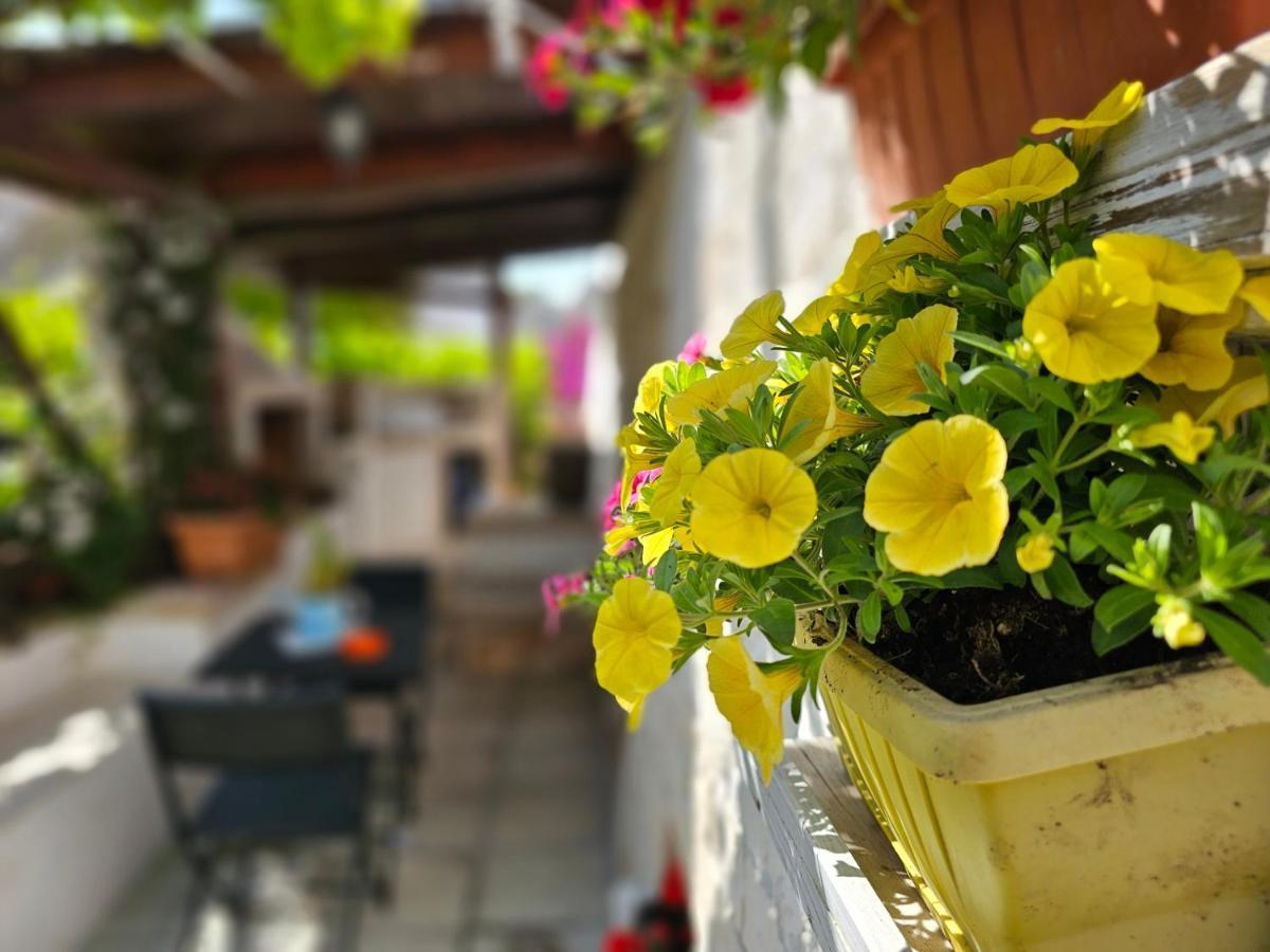 Il Trullo Felice Villa Locorotondo Ngoại thất bức ảnh